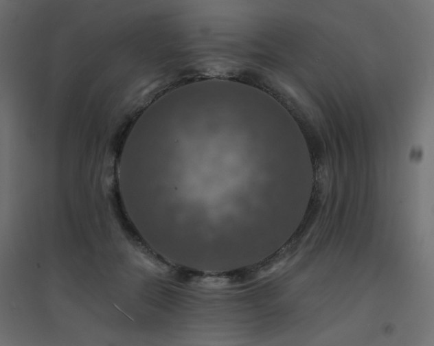 X0000094900554200711291235