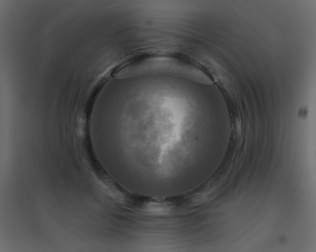 X0000094900556200711291235
