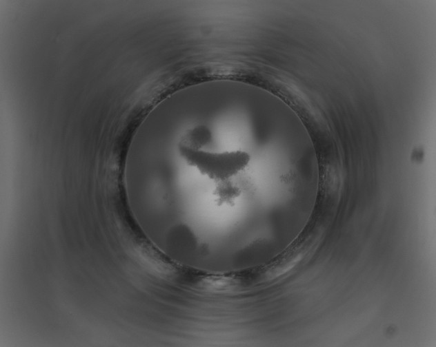 X0000094900557200711291235