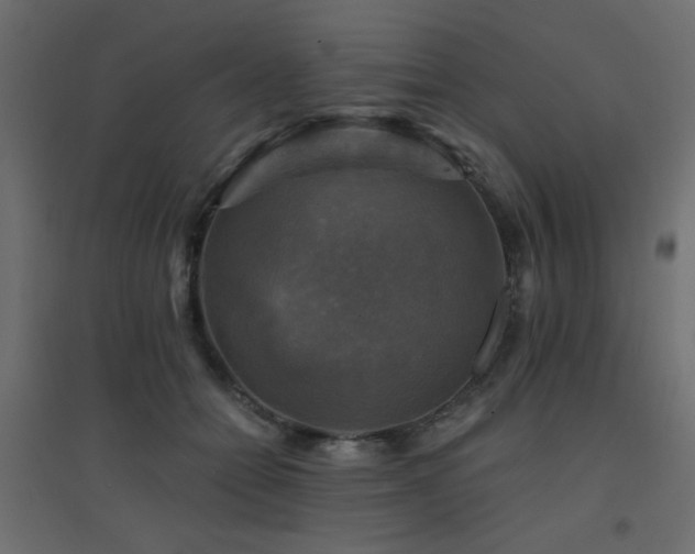 X0000094900558200711291235