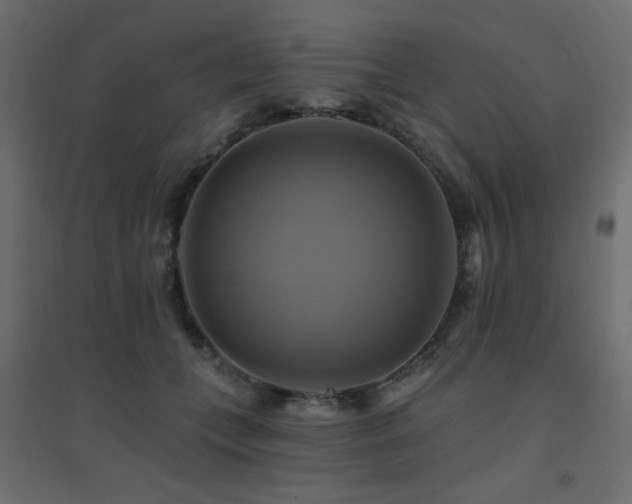 X0000094900559200711291235