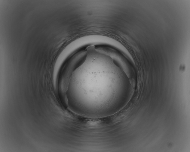 X0000094900560200711291235