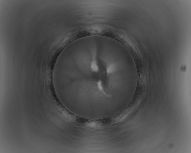 X0000094900561200711291235