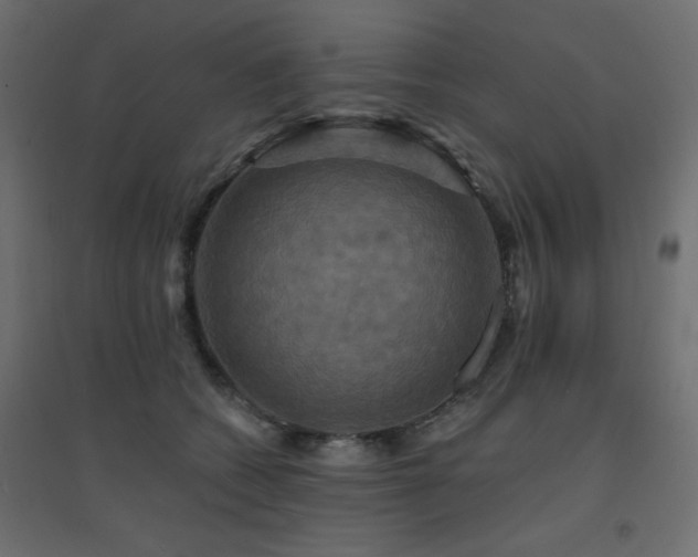 X0000094900562200711291235