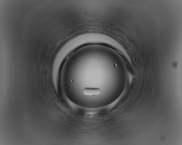 X0000094900564200711291235