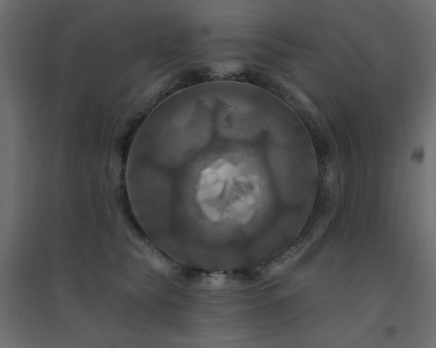 X0000094900565200711291235