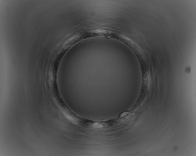 X0000094900566200711291235