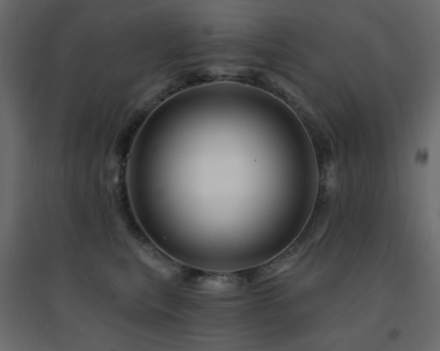 X0000094900567200711291235