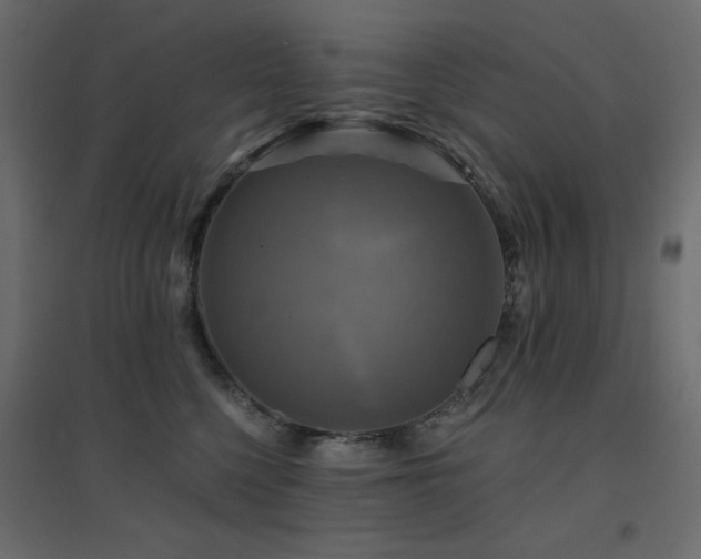 X0000094900568200711291235