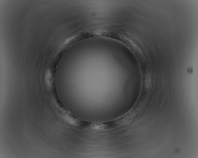 X0000094900569200711291235