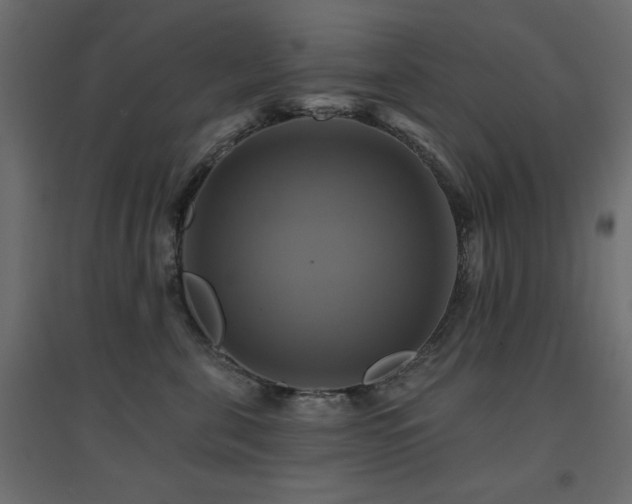 X0000094900571200711291235
