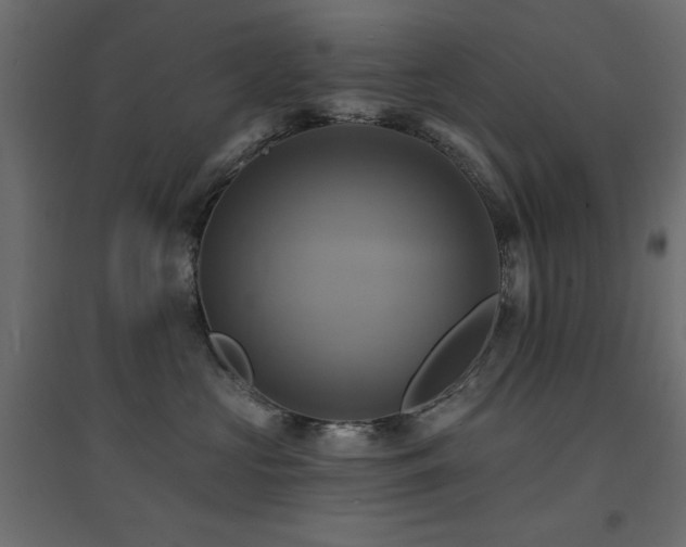 X0000094900573200711291235