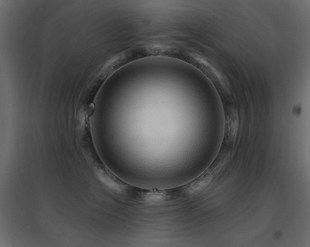 X0000094900574200711291235