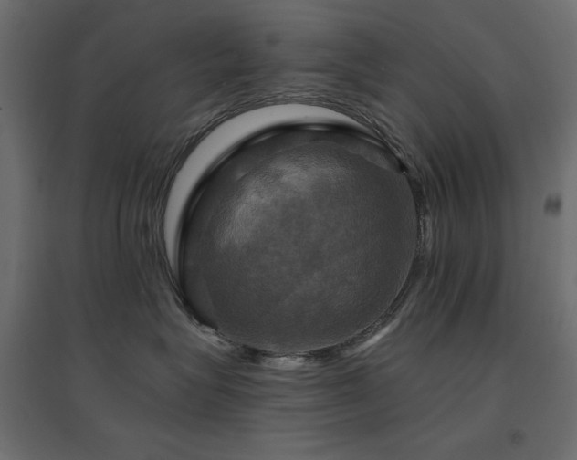 X0000094900575200711291235