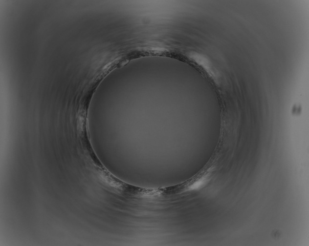 X0000094900576200711291235