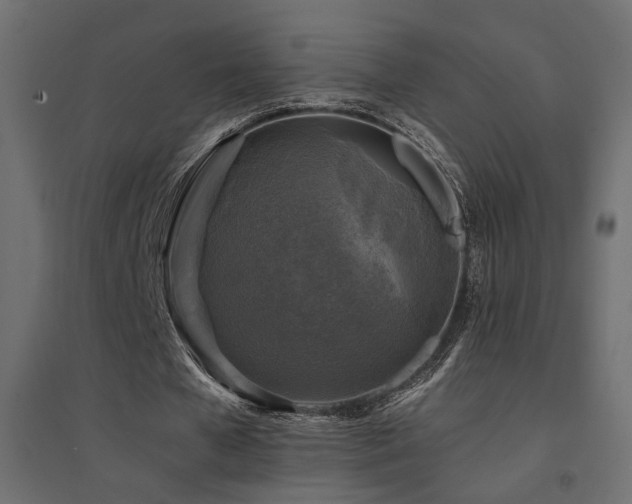 X0000094900577200711291234