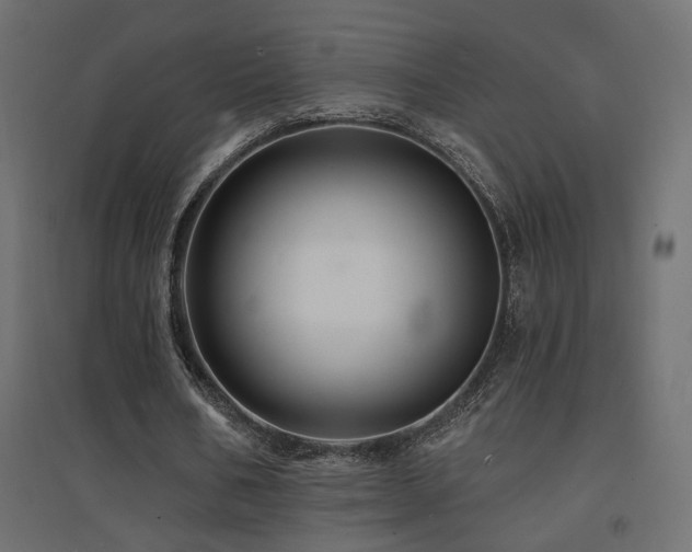 X0000094900578200711291234