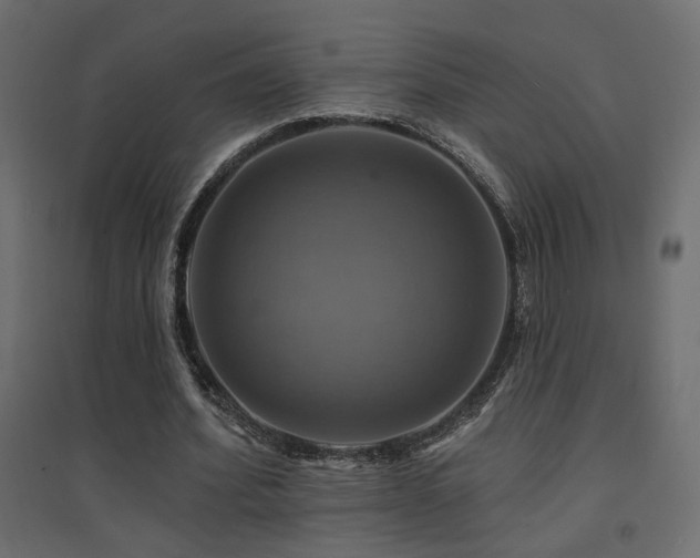 X0000094900580200711291234