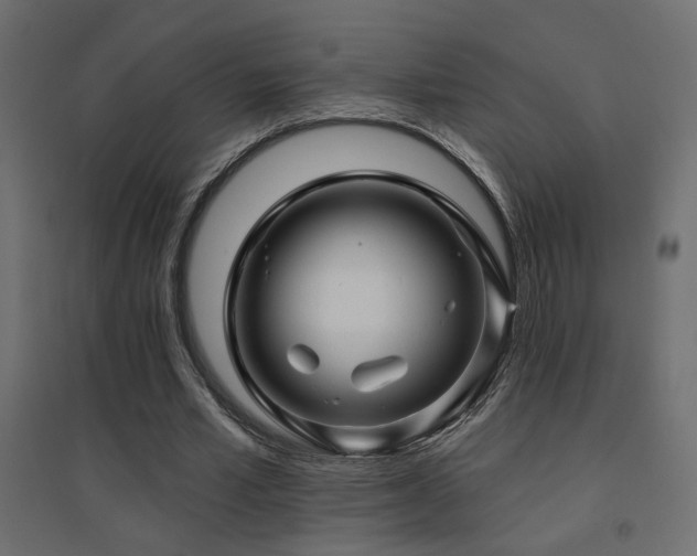 X0000094900581200711291234