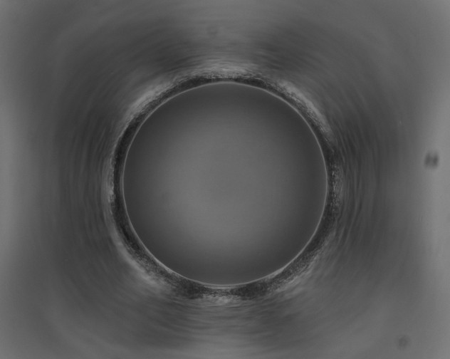 X0000094900582200711291234