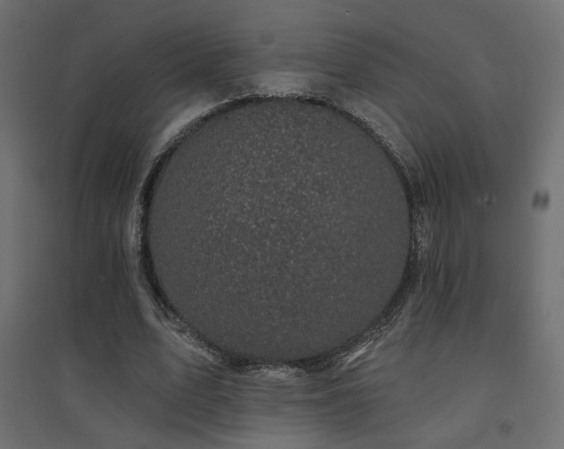 X0000094900583200711291234