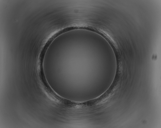 X0000094900584200711291234