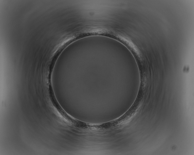 X0000094900585200711291234