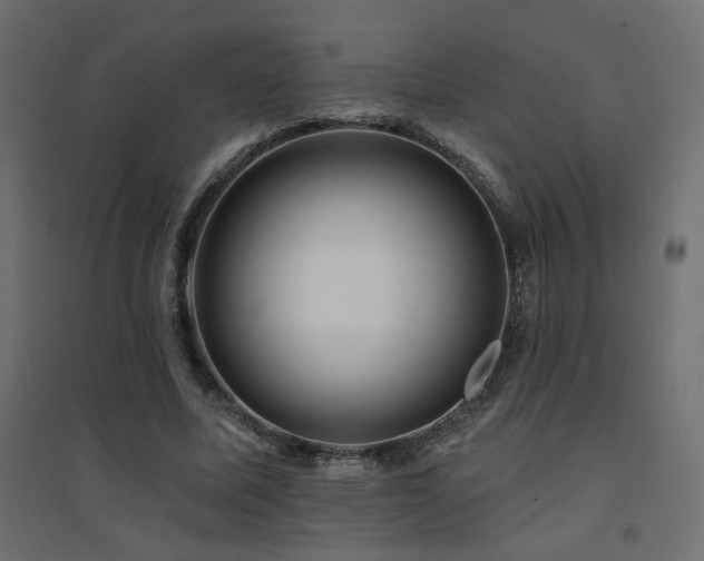X0000094900587200711291234