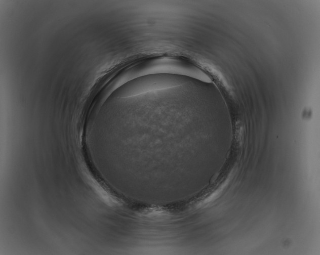 X0000094900589200711291234