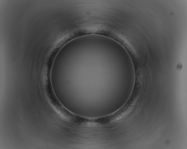 X0000094900590200711291234