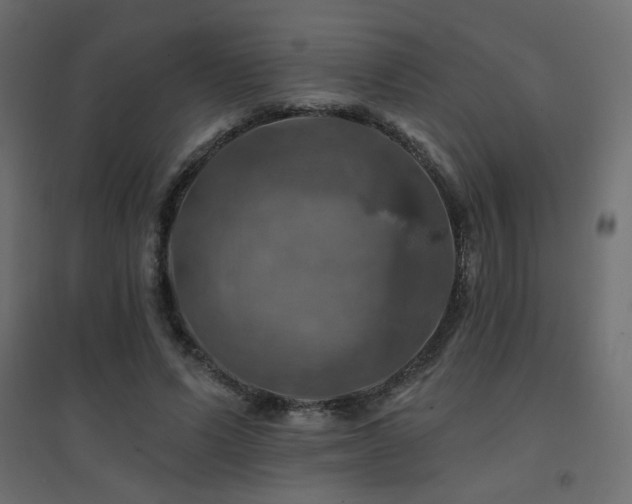 X0000094900591200711291234