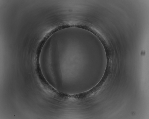 X0000094900592200711291234