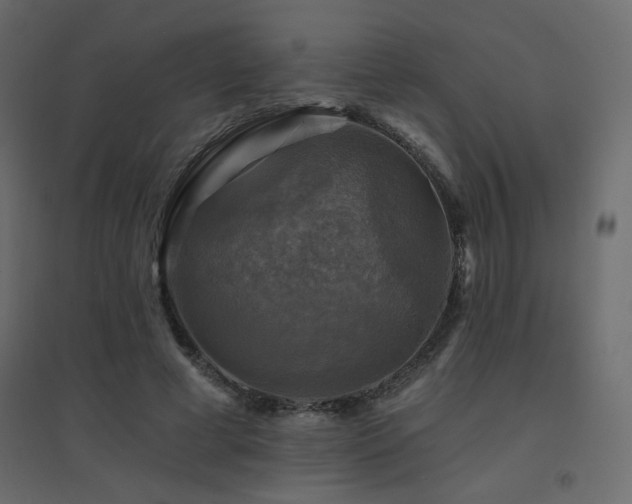 X0000094900593200711291234