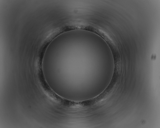 X0000094900594200711291234