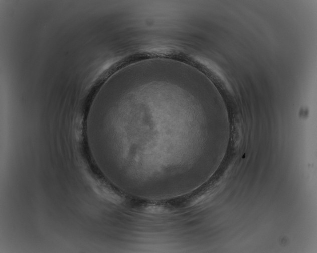X0000094900596200711291234