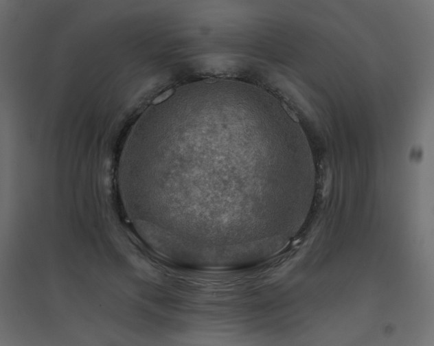 X0000094900597200711291234