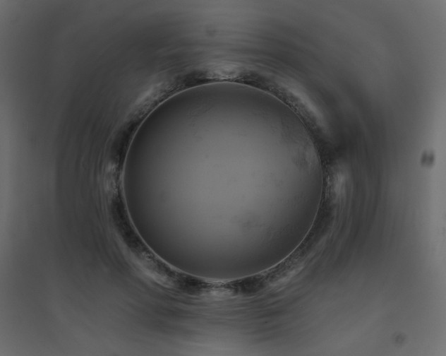 X0000094900598200711291234