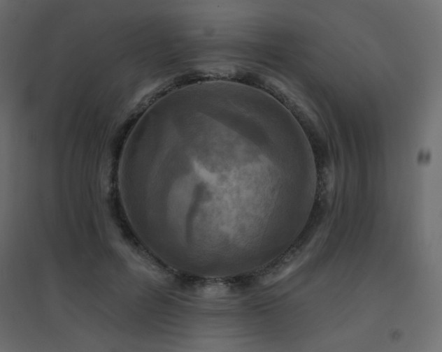 X0000094900600200711291234