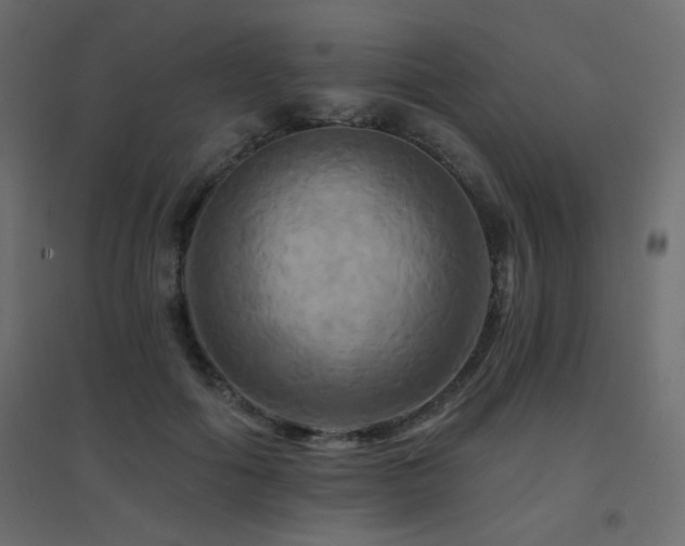 X0000094900602200711291234