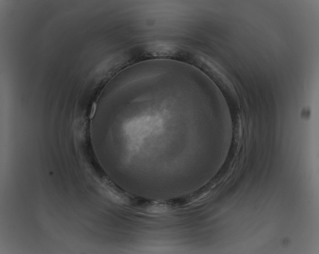 X0000094900604200711291234