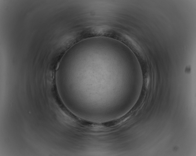 X0000094900605200711291234