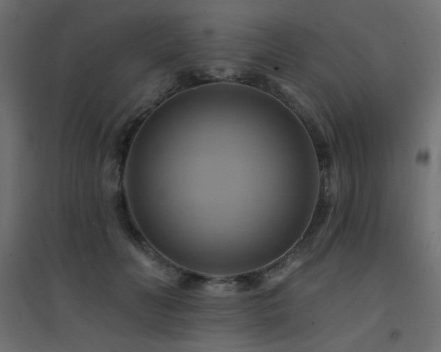 X0000094900606200711291234