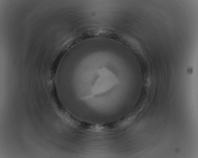 X0000094900607200711291234