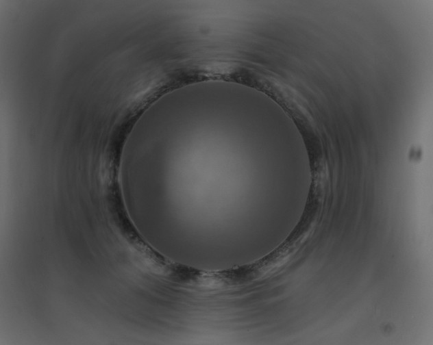 X0000094900608200711291234