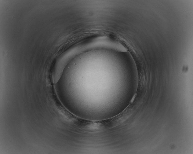 X0000094900609200711291234