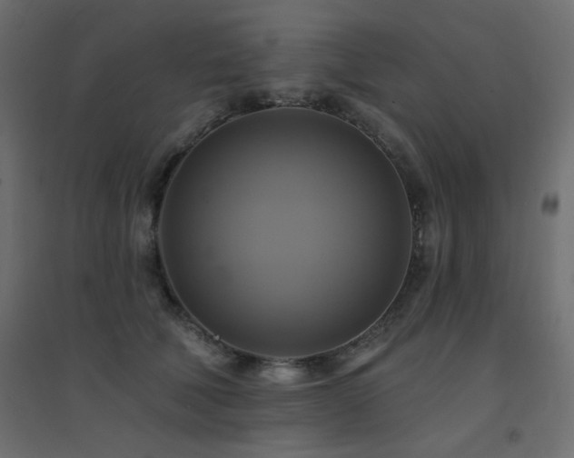 X0000094900610200711291234