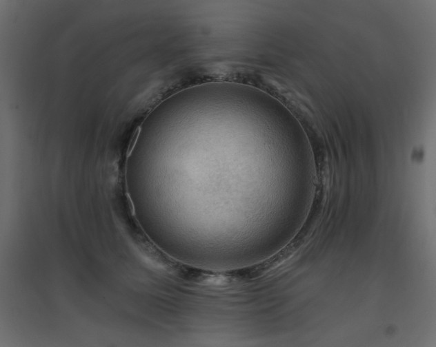 X0000094900611200711291234