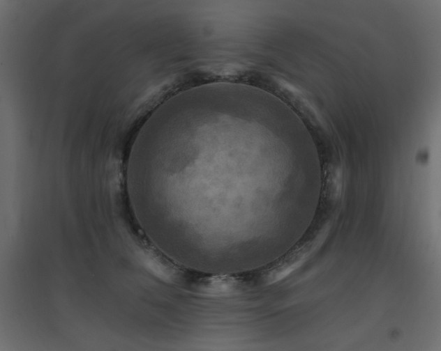 X0000094900612200711291234