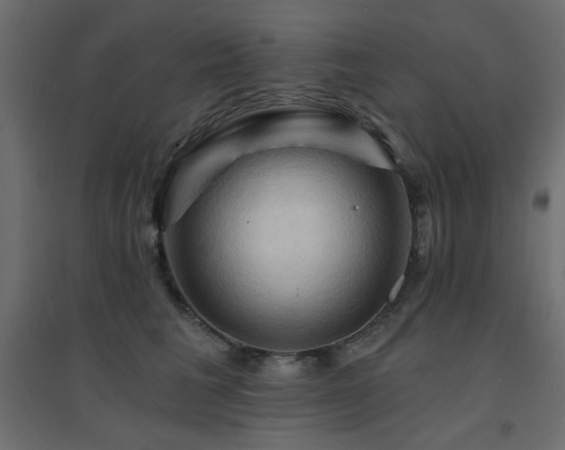 X0000094900613200711291234