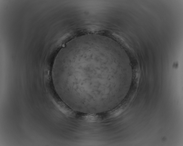 X0000094900615200711291234